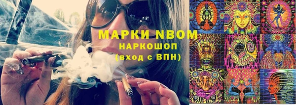 прущие грибы Алзамай