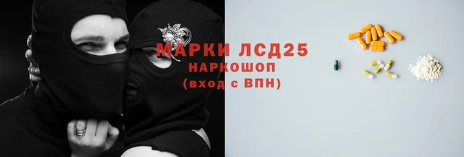 прущие грибы Алзамай