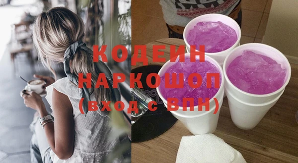 прущие грибы Алзамай